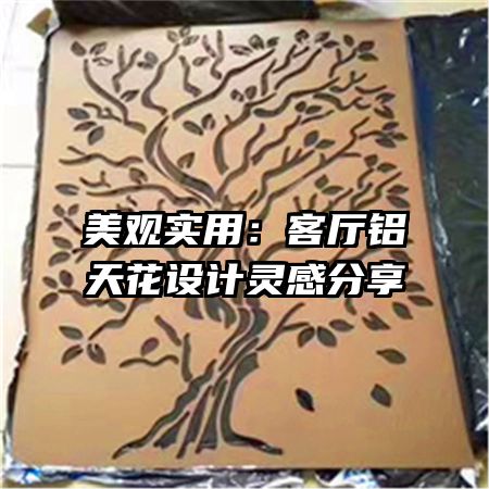 ʵã컨з
