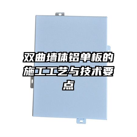 ˫ǽʩ뼼Ҫ