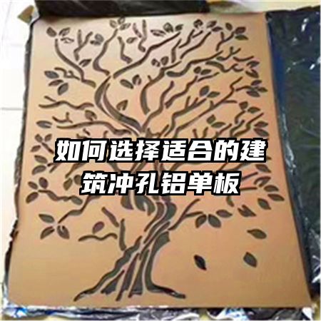 ѡʺϵĽ