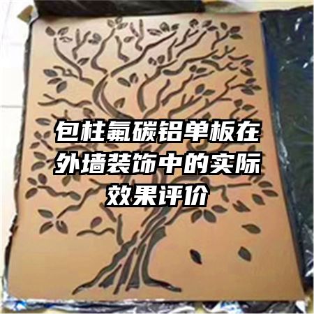 ̼ǽװеʵЧ