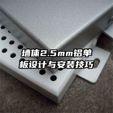 ǽ2.5mm밲װ