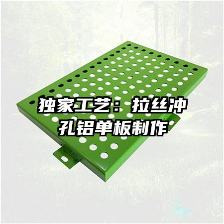 ҹգ˿