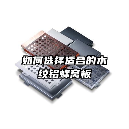 ѡʺϵľѰ