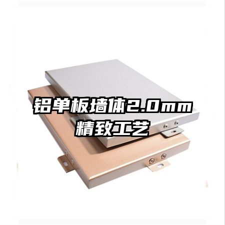 ǽ2.0mm¹