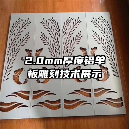 2.0mm̼չʾ