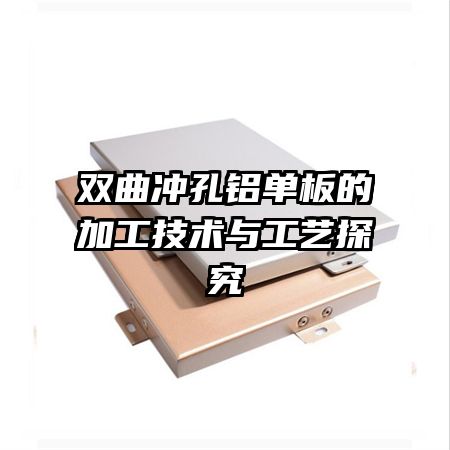 ˫ļӹ빤̽