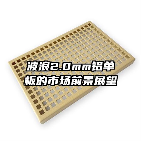 2.0mmгǰչ