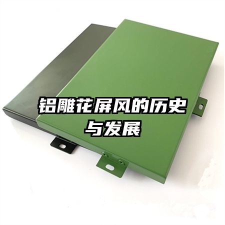ʷ뷢չ