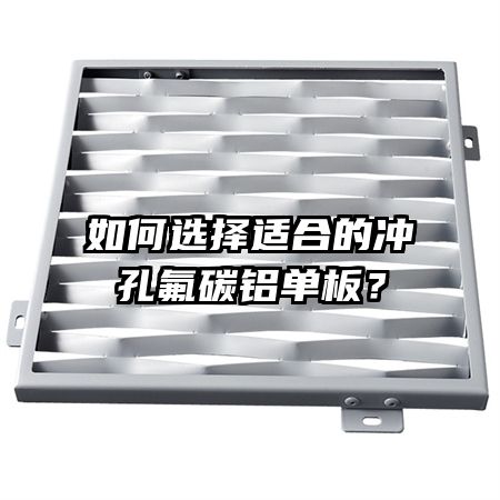 ѡʺϵĳ׷̼壿