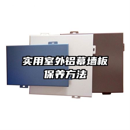 ʵĻǽ屣