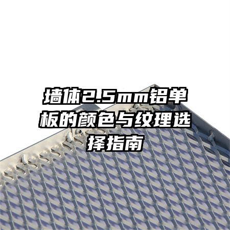 ǽ2.5mmɫѡָ