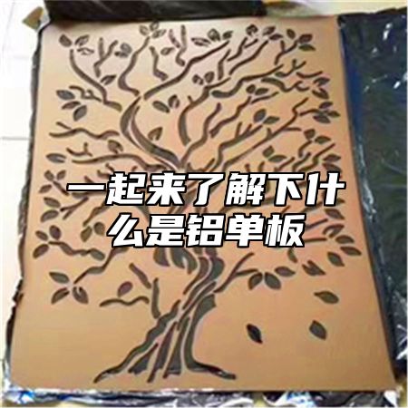 һ˽ʲô