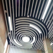 ˫������������